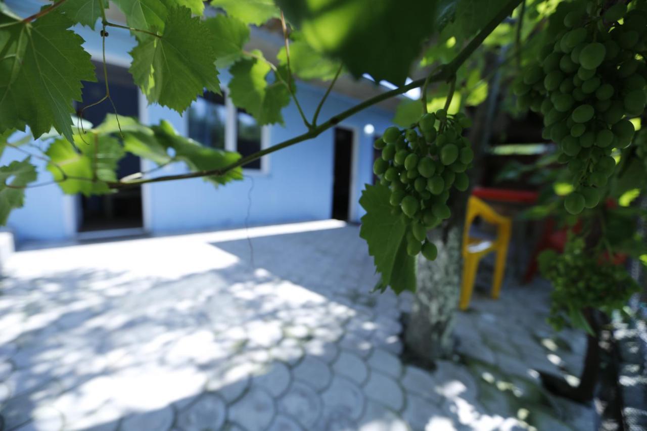 Lilia Guesthouse Sighnaghi Ngoại thất bức ảnh